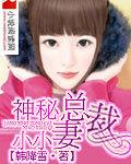 神祕總裁小小妻